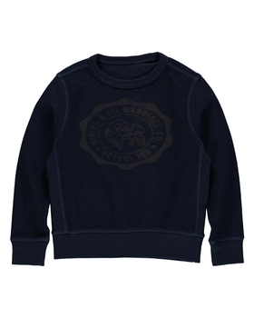 Petrol sweater <br> (SWR375 navy w15)