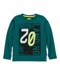 Name It shirt <br> (Emil 13124544 green z16)