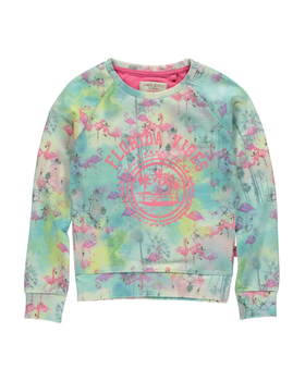 Cars sweater <br> (Polly 3308734 z16)